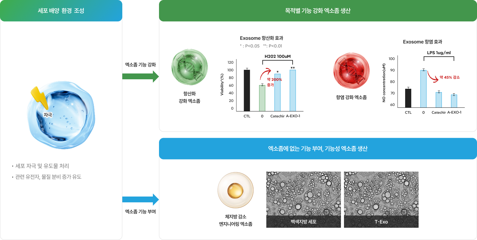 Production of Exosomes with Enhanced Functions by Purpose